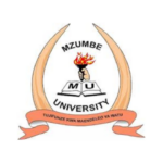Mzumbe University & Tanzania Safa Kühne Foundation Internship Programme 2026