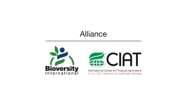 Alliance of Bioversity International and CIAT